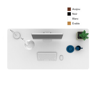 FlexiSpot Bureau Électrique Assis Debout Réglable en Hauteur, Piètement en Acier à 3 Étages E7
