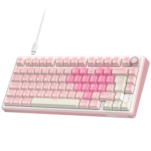 Clavier R3k RK ROYAL KLUDGE R75 Clavier Mécanique azerty, Clavier Gamer 75% sans ...