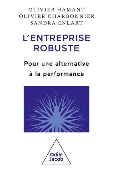 L'Entreprise robuste