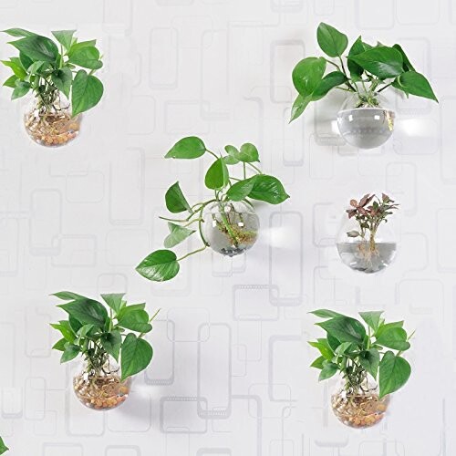 Lot de 6 vases en verre ronds à suspendre pour décoration murale