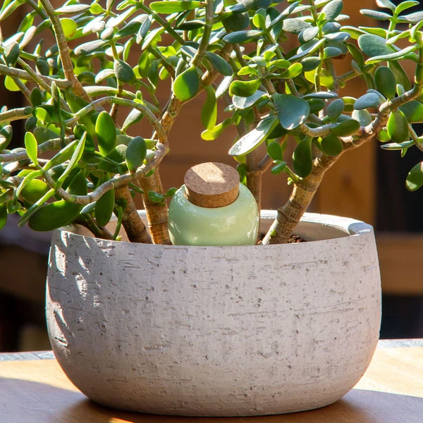 Réservoir d’eau naturel - Les Raffineurs