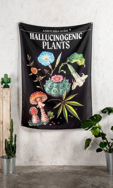 Teinture Plantes