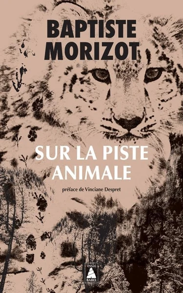 Petit traité d'écologie sauvage Broché – Illustré, 1 mars 2017