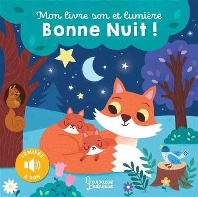 Mon livre son et lumière, Bonne nuit !