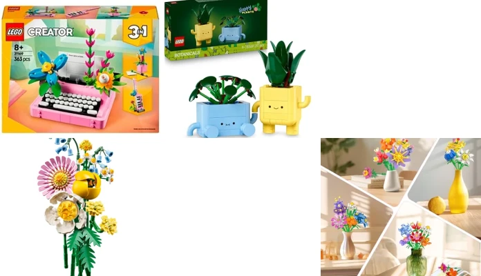 🖍️ Activités