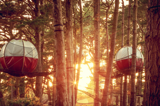 Nuit insolite duo en parc accrobranche Groix