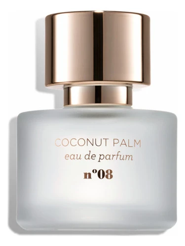 Coconut Palm n°08