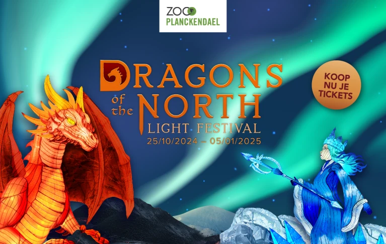 Lichtfestival Dragons of the North 2024 | ZOO Planckendael