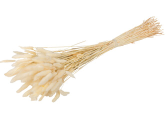 Maxi bouquet de plumeaux lagurus blanc 75 cm