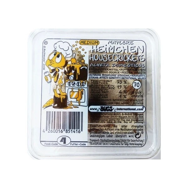 Grillons Domestiques Taille 4 / 70 Pièces