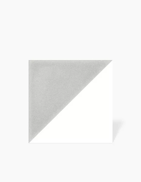 Carrelage Demi Gris Clair 20x20 - MA2303652