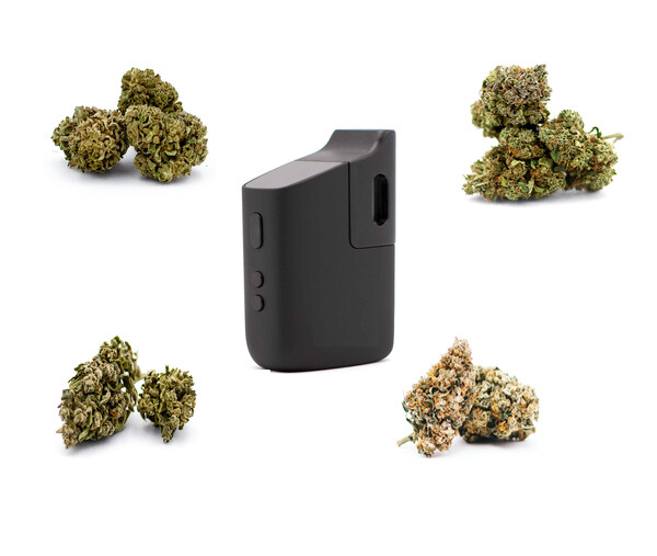 Pack vaporisateur + 2 g de fleurs au choix