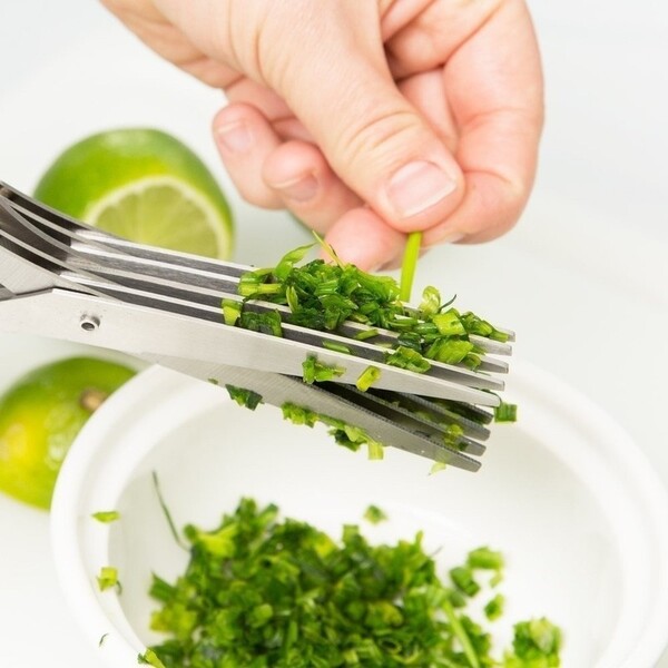 Ciseaux de cuisine