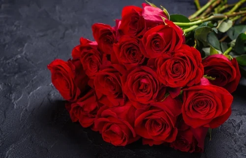 Rose Eternelle