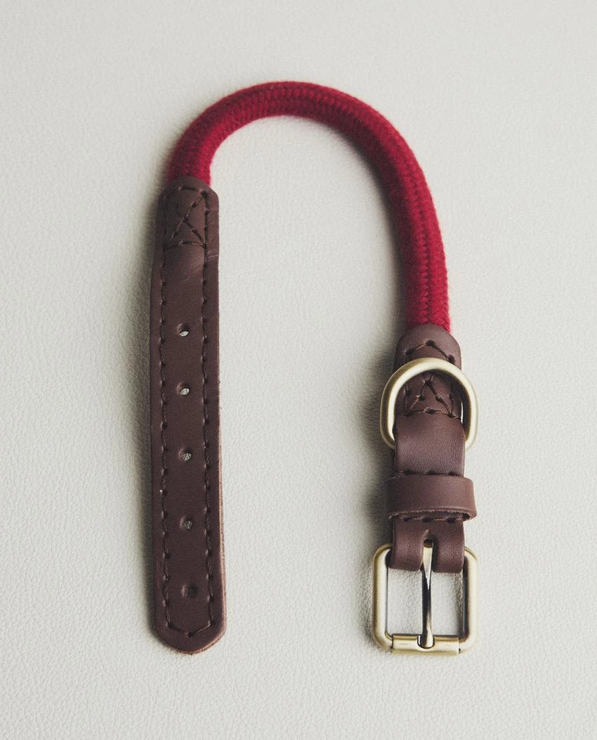 COLLIER CORDE CUIR CHIENS | Zara Home France