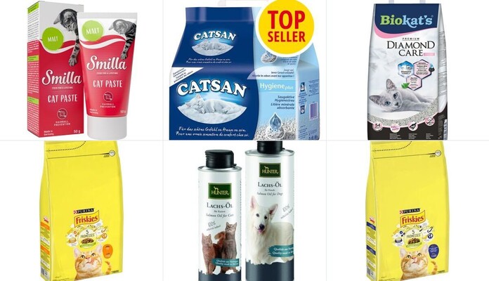 Association les chats libres de Cusset 03