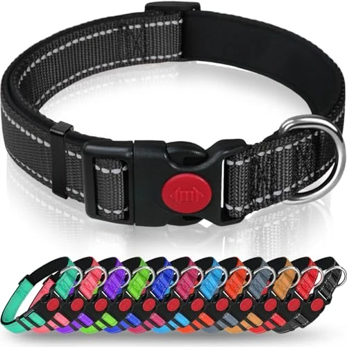 Taglory Collier pour Chien, Collier en Nylon Réfléchissant Réglable Classique avec Rembourré Doux Respirant Mesh pour Petits Chiens, S, Noir