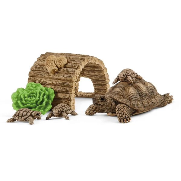 Maison pour tortues