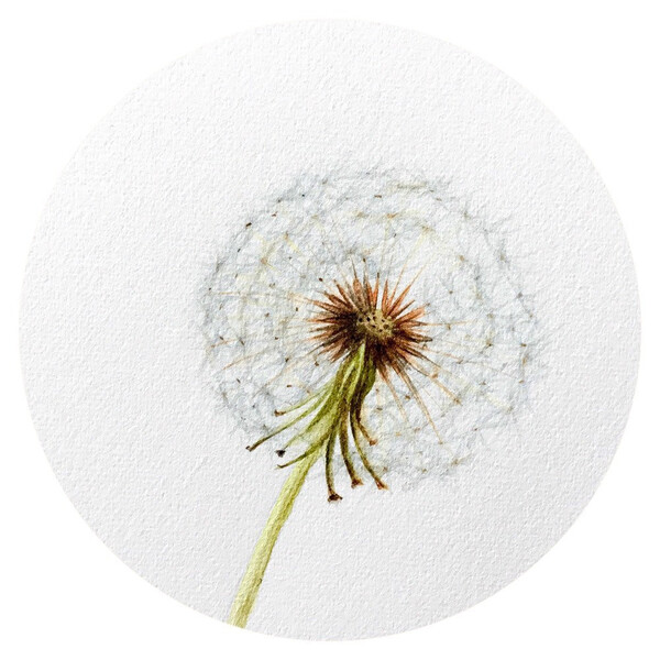 La petite galerie dans la poésie par LemonScarletGalerie sur Etsy
