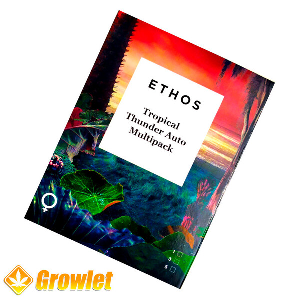 Tropical Thunder AUTO Multipack de Ethos Genetics - Growlet