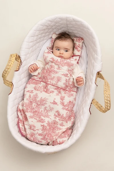 Toile de Jouy Sleeping Bag