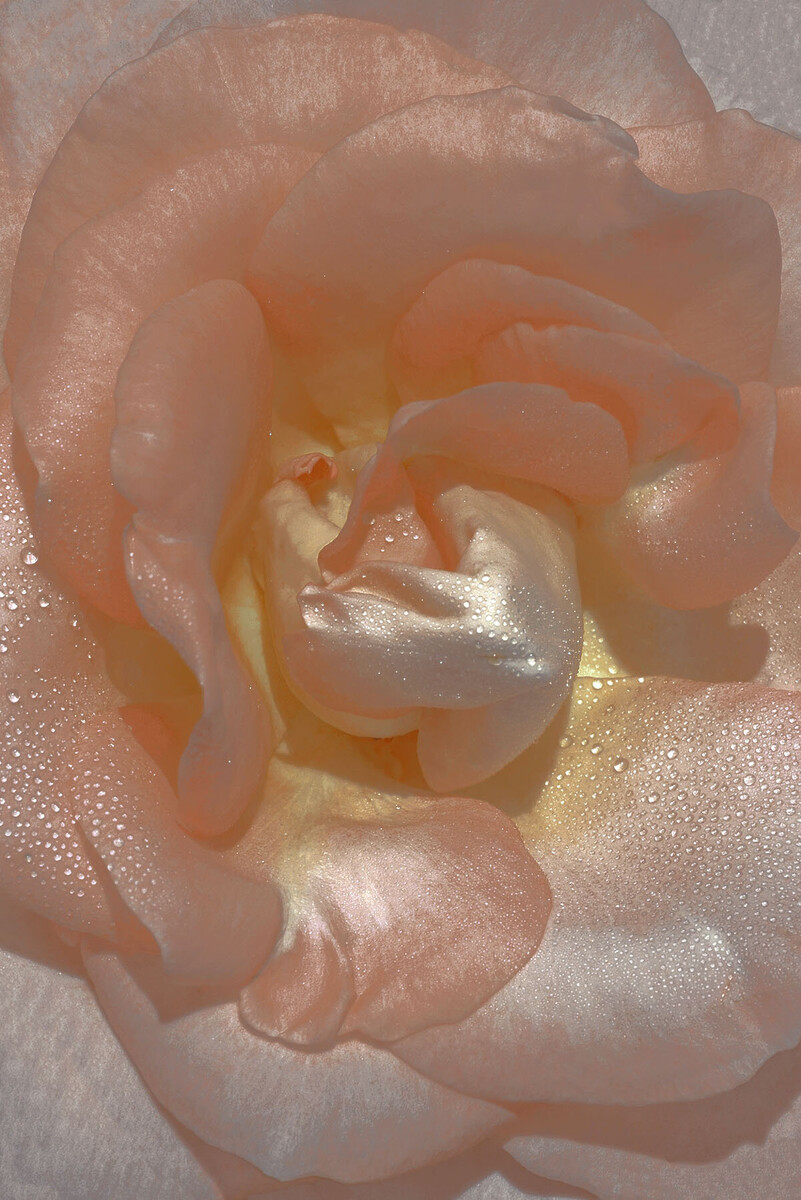 Killing me softly — Xuebing Du