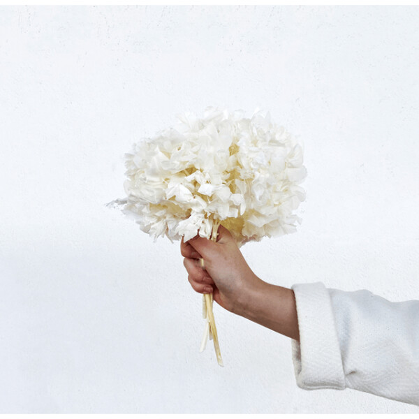 Hortensia stabilisé blanc - Fleur délicate et élégante