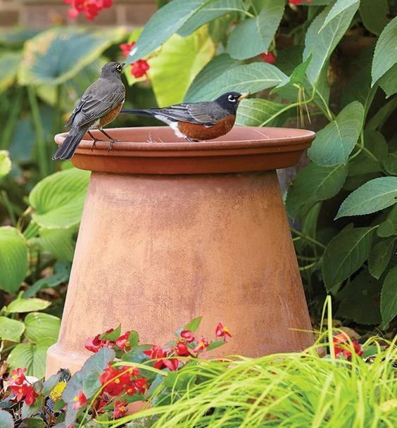 Pin de Karyn Ruth en Gardens 3 | Jardines, Jardinería en macetas, Jardín de jardinería