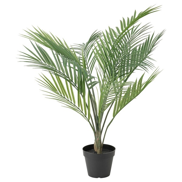 FEJKA Plante artificielle en pot - intérieur/extérieur Aréca 12 cm