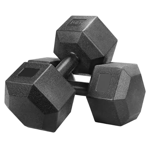 Abician Lot de 2 Haltères10kg Kit Haltères Musculation Fitness pour Exercices Entraînement de Musculation Noir en Fer
