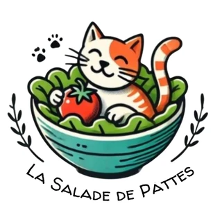 lasaladedepattes