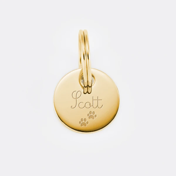 Médaille chien gravée acier inoxydable doré ronde - Taille S (16 mm)