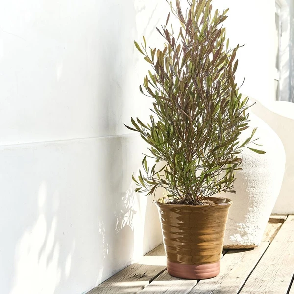 VENOSTA - Pot bicolore en terre cuite D29cm - jaune