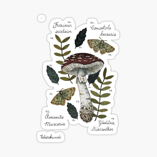 Amanita Muscaria avec papillons et feuilles illustration botanique | Sticker