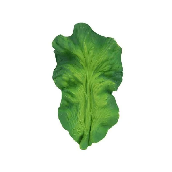 Feuille de salade de dentition verte