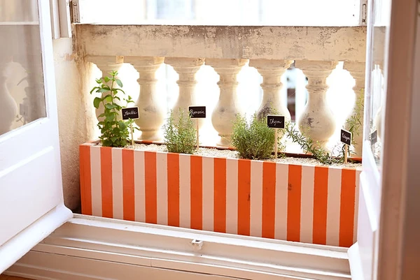 DIY - Créer un potager de balcon bio, c'est possible !