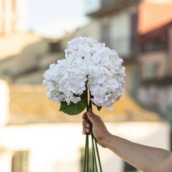 Lot de 3 Hortensias en Papier - Blanc