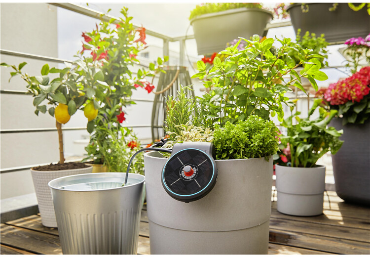 Solution d'arrosage automatique solaire AquaBloom - GARDENA