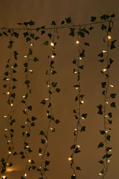 Rideau décoratif avec lumières LED 1,5 m Claire