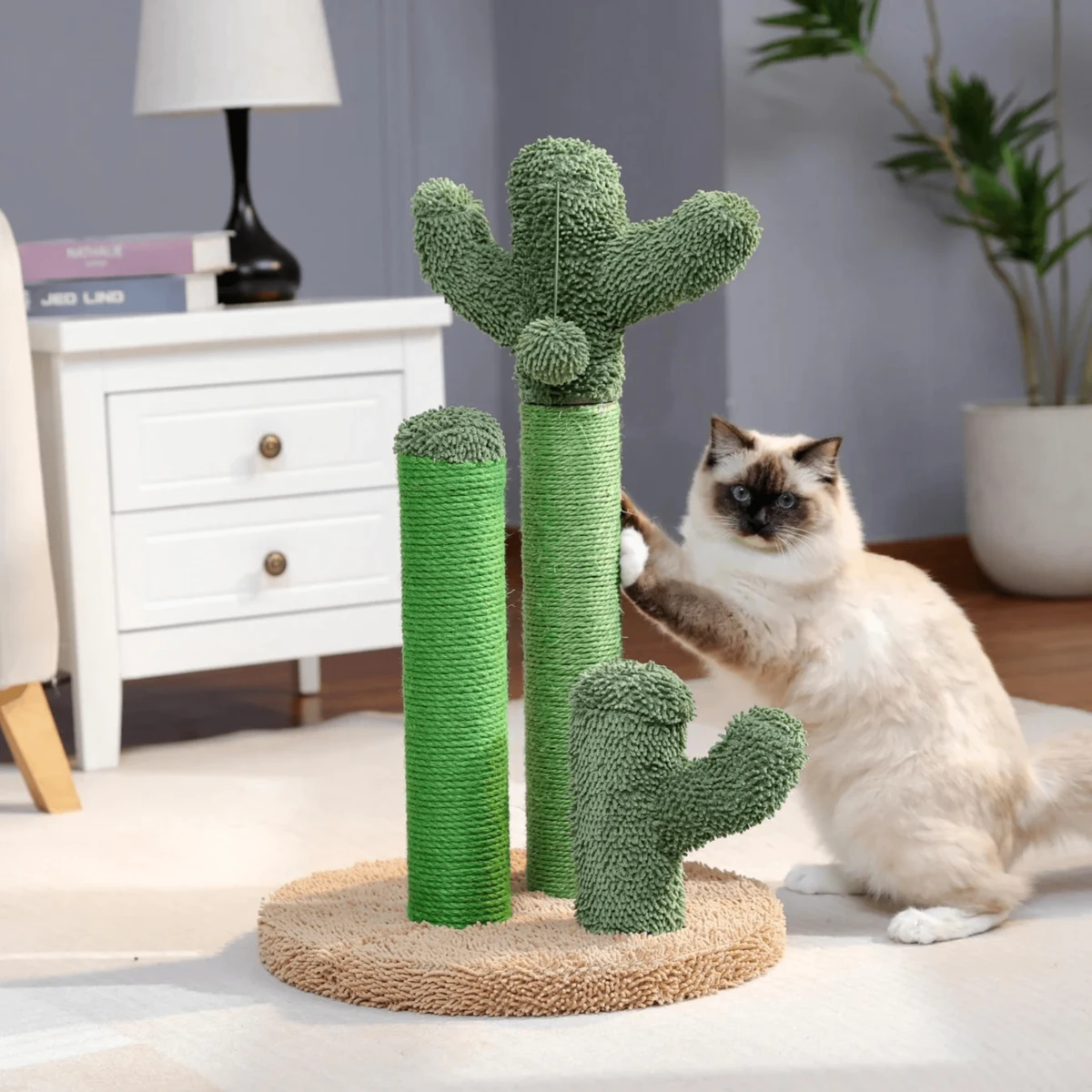 Le Griffoir-Cactus