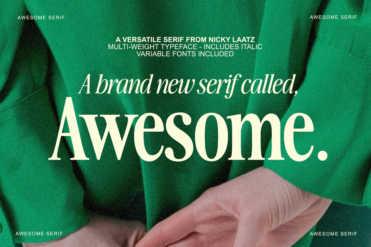 The Awesome Serif Family (32 Fonts), a Serif Font by Nicky Laatz
