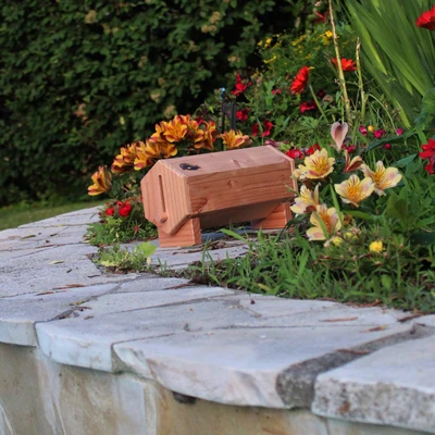 Lépidobox - Gîte à papillons | Nichoir à papillons