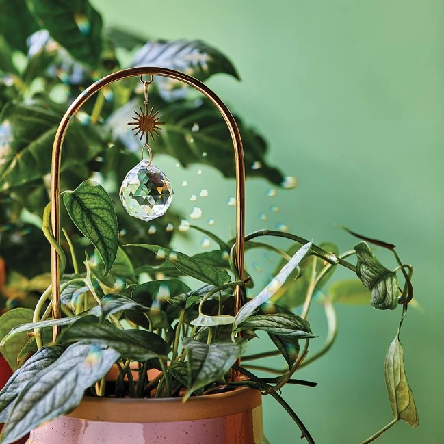 Tuteur pour plantes suncatcher