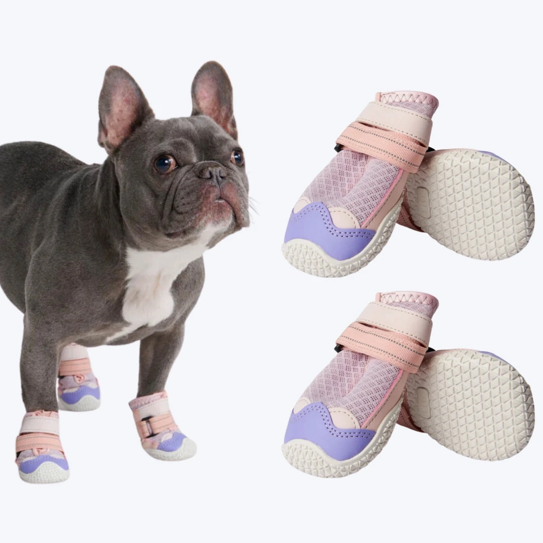 Chaussures pour chien sur pavé chaud - Rose Violet