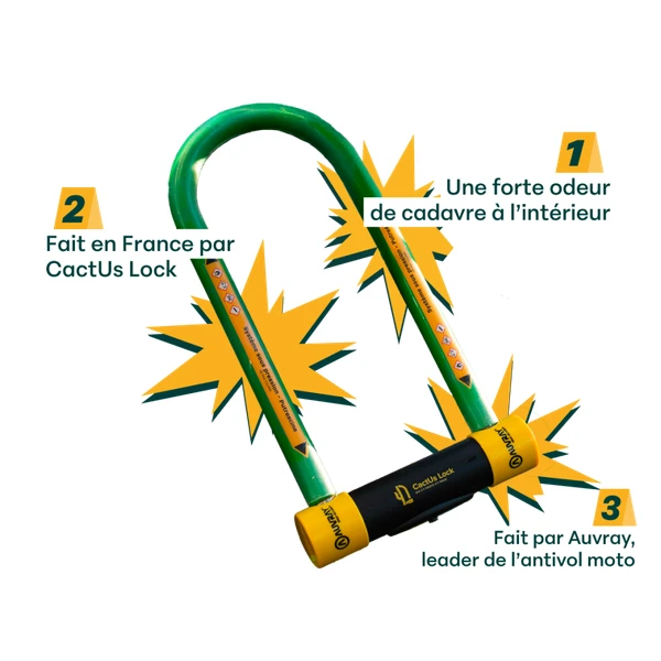 Boutique - CactUs Lock