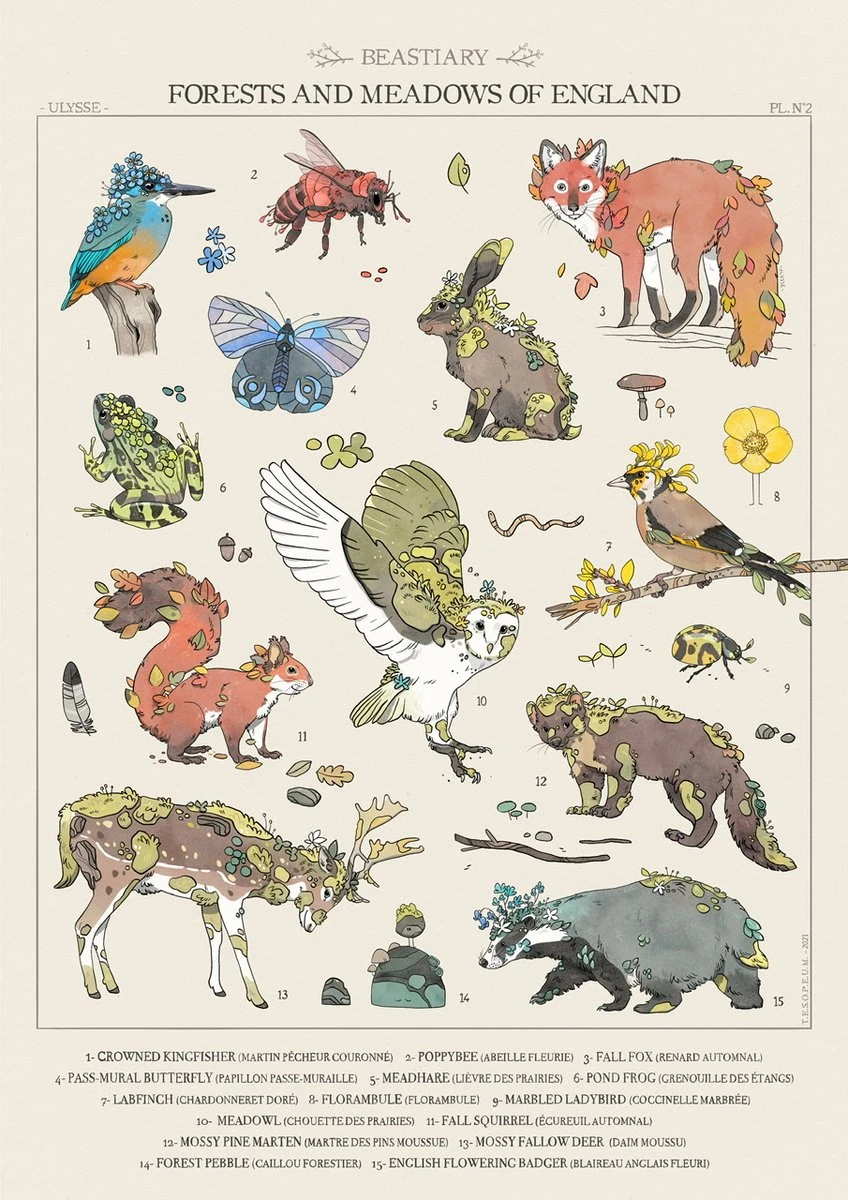Forests and meadows of England (A3)