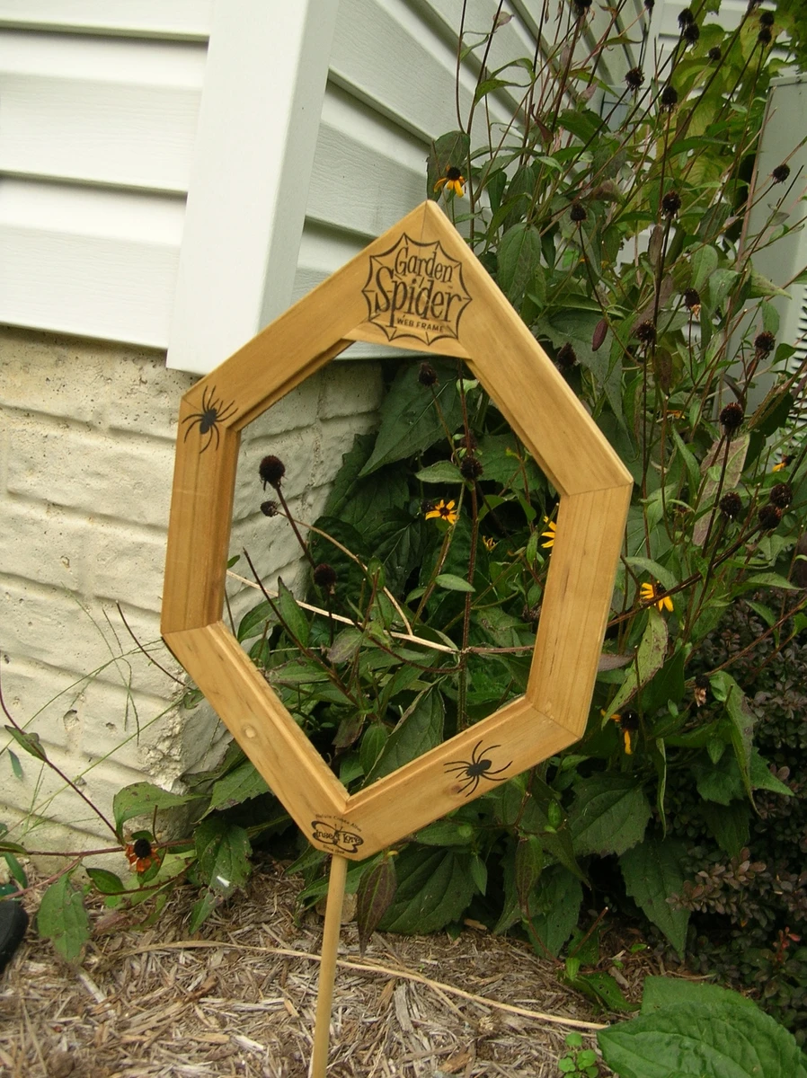 Épinglé sur Gardening