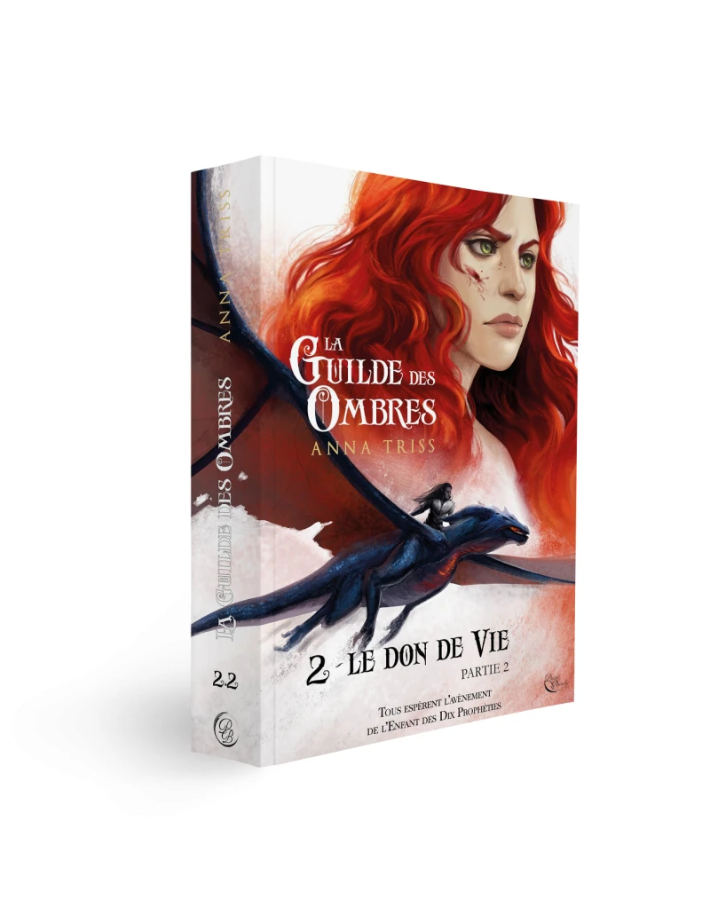 La Guilde des Ombres, Tome 2, Partie 2