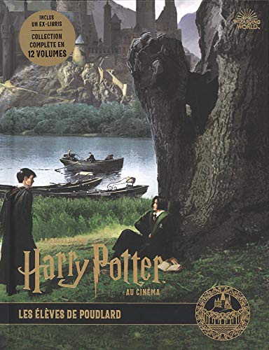 La collection Harry Potter au cinéma Tome 10 : villages et maisons de  sorciers