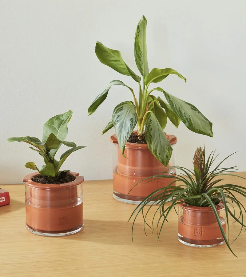 Pot en céramique intelligent avec réserve d'eau Wet Pot